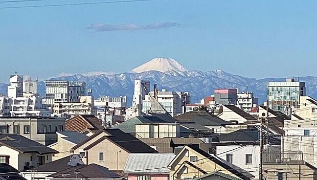 富士山を望む