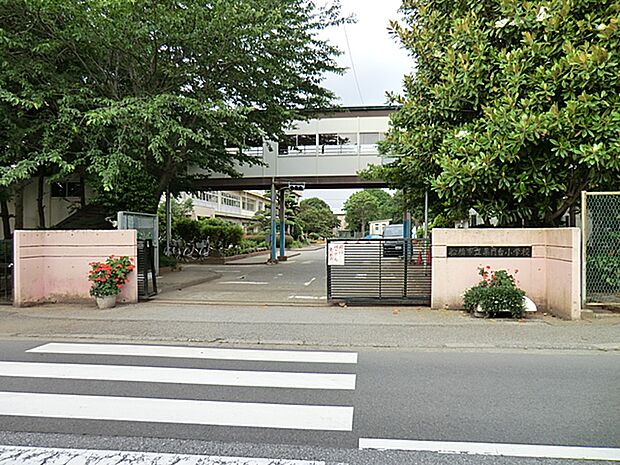 薬園台小学校　徒歩約11分　約809m