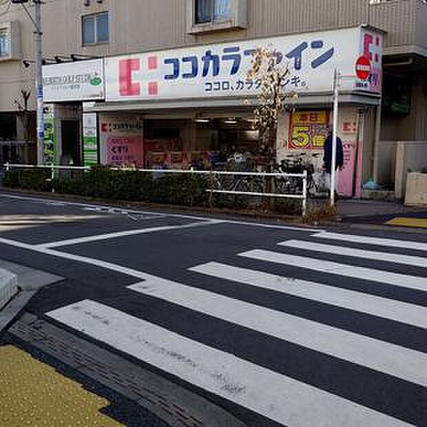 昼間は電気いらず！大窓から舞い込むたっぷりの日差しに包まれたポカポカのLDK