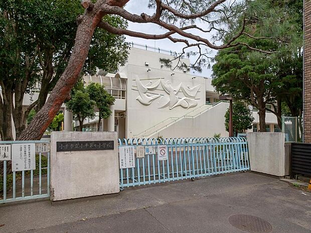 小平市立小平第七小学校（800m）