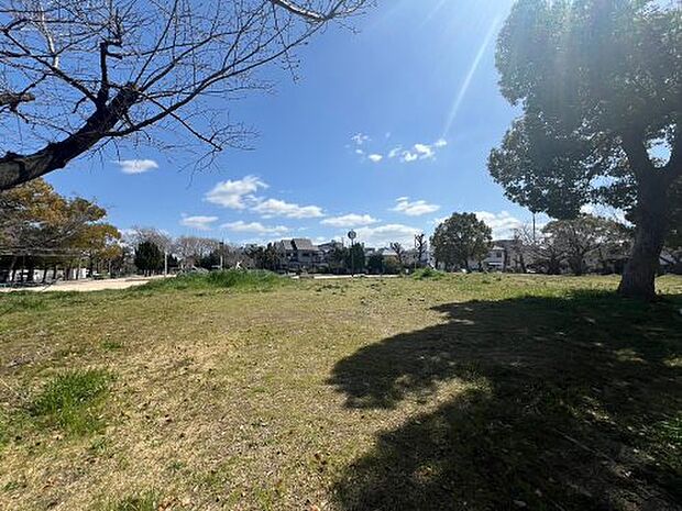 【公園】今福公園まで514ｍ