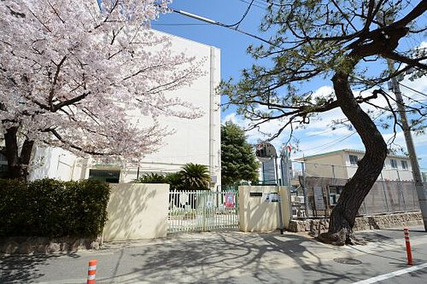 【中学校】神戸市立御影中学校まで1643ｍ