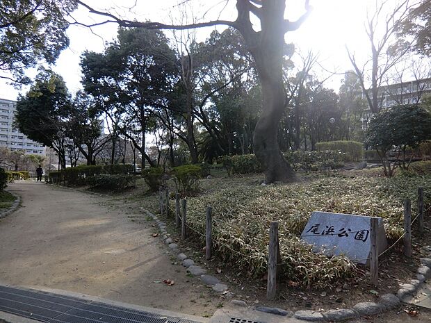 【公園】尾浜公園まで543ｍ