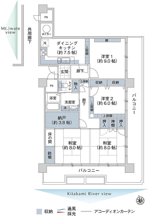 パレ菜園(4SDK) 12階の間取り