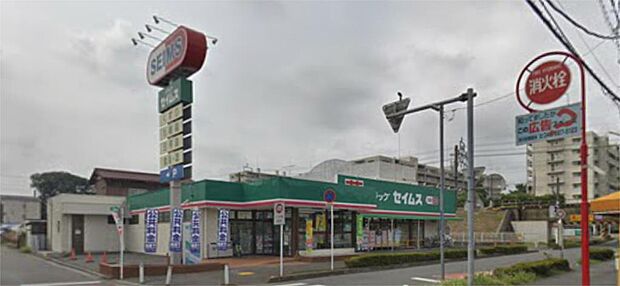 ドラッグセイムス志木柳瀬川店（1233m）