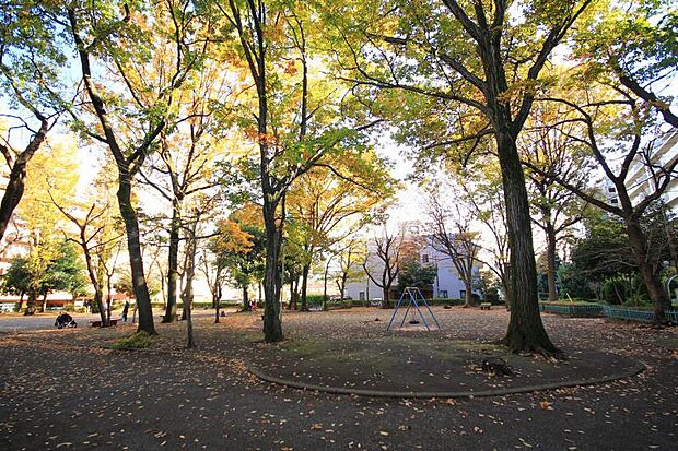 多摩平第七公園迄60ｍ