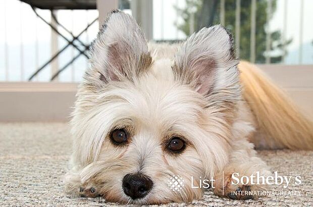 ■ペット飼育■大切なペットと一緒に暮らせます！犬猫飼育可能◎(規約あり)