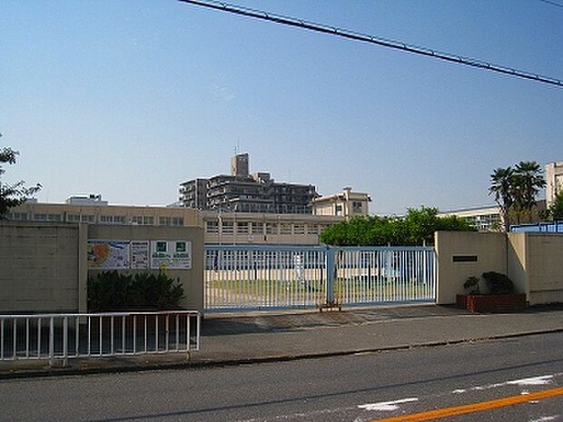 錦綾小学校