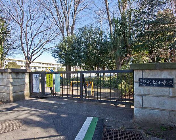 【小学校】所沢市立若松小学校まで738ｍ