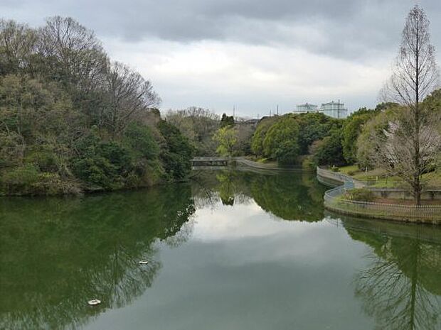 【公園】明治池公園まで1255ｍ