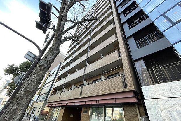 ネオアージュ神戸元町(2LDK) 10階の外観