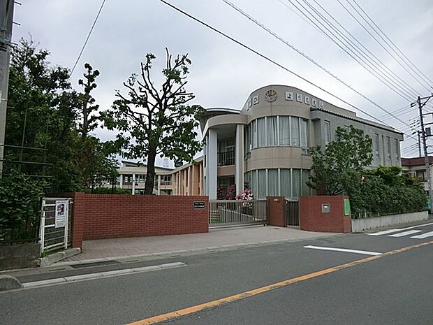 幼稚園・保育園 800m 旭幼稚園