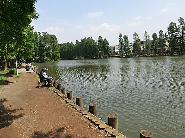 公園 350m 別所沼公園