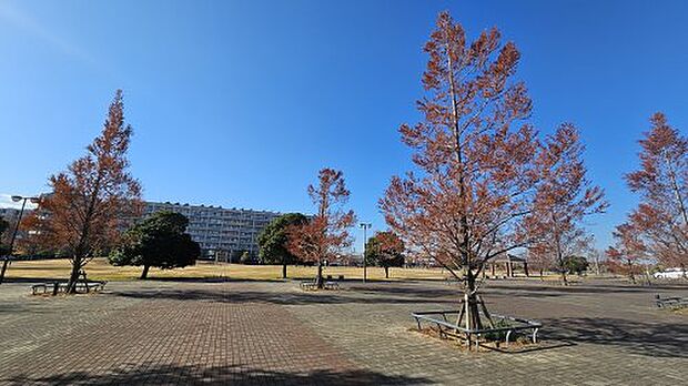 【公園】見田方遺跡公園まで519ｍ