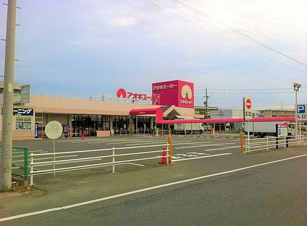 アオキスーパー 大府店まで徒歩約17分(約1200m)