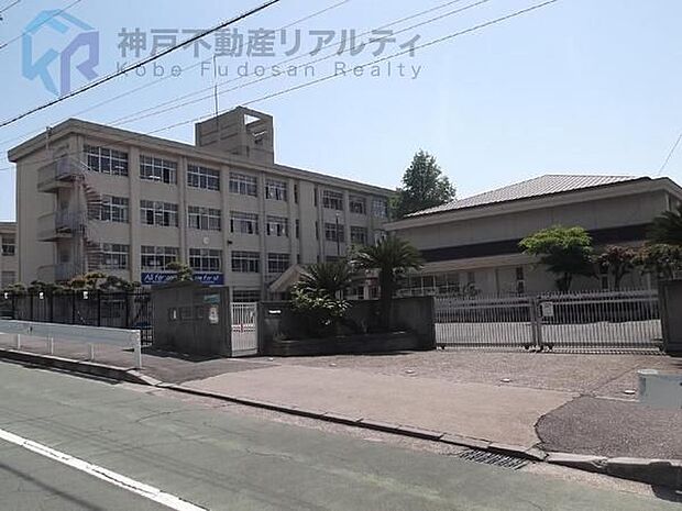 神戸市立本多聞中学校 徒歩16分。 1280m