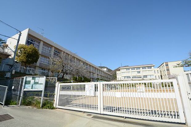 【小学校】神戸市立鶴甲小学校まで1219ｍ