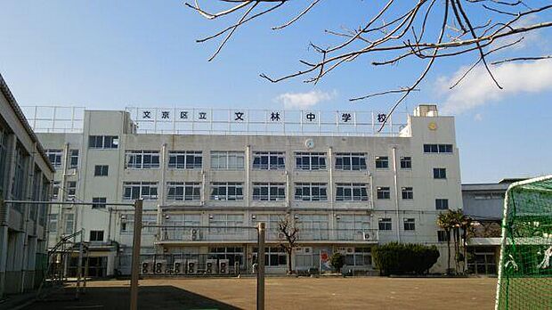 文京区立文林中学校