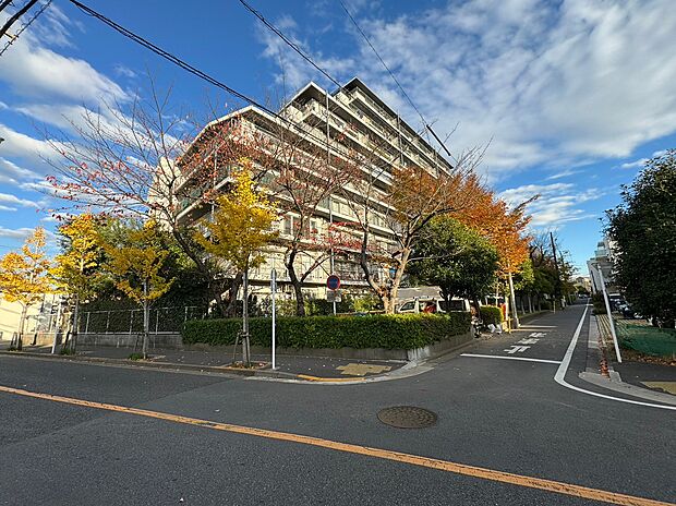 資料には掲載していない情報が、現地にはたくさんあります。是非一度、現地をご確認ください。