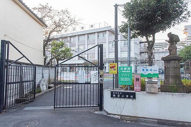 墨田区立梅若小学校