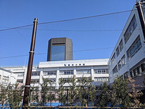 江東区立数矢小学校