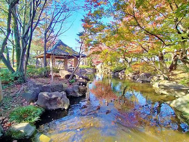 馬橋公園 徒歩11分。 870m