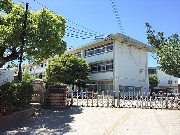 春日市立須玖小学校 須玖小学校 800m