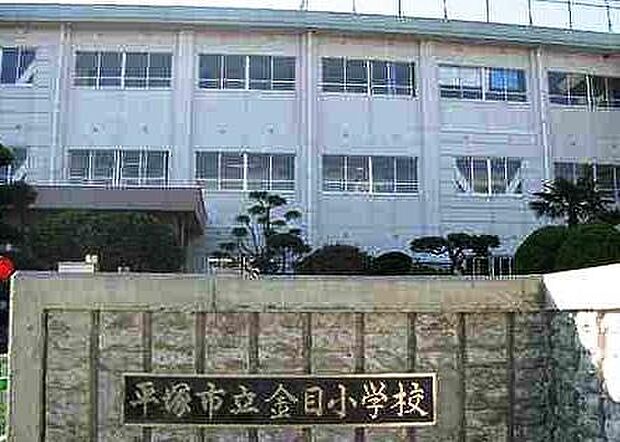 【小学校】平塚市立金目小学校まで1642ｍ