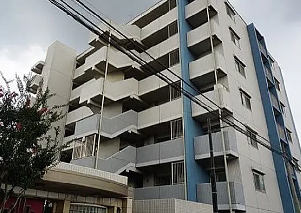 大切なペットと一緒に暮らせます　南東向き5階住戸　宅配ボックス完備　新規内装リフォーム　住宅ローン減税適合物件