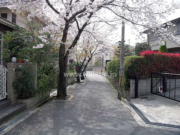 永楽荘の桜並木の外観