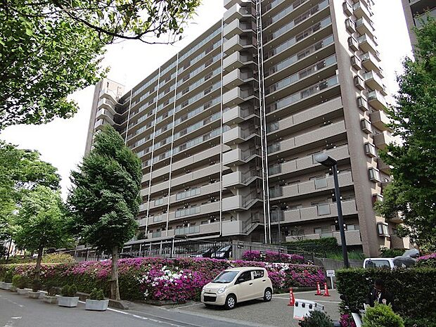 平成8年築、14階建