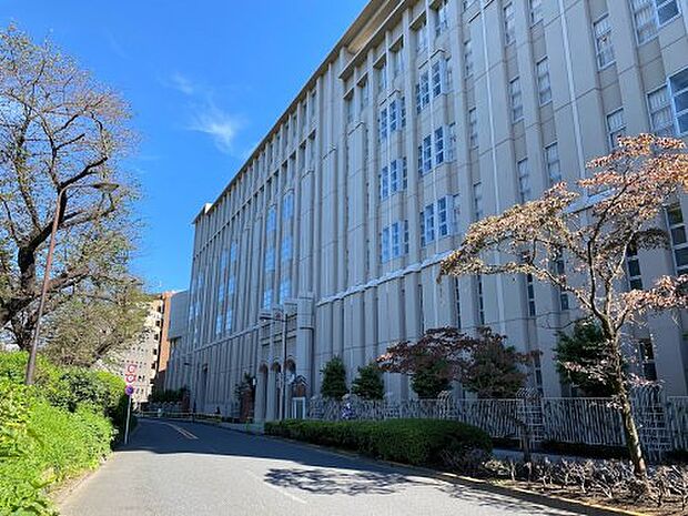 【その他】雙葉小学校・中学校・高等学校まで392ｍ