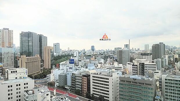 ラ・トゥール飯田橋　16階南向き　新宿新都心方面を望む