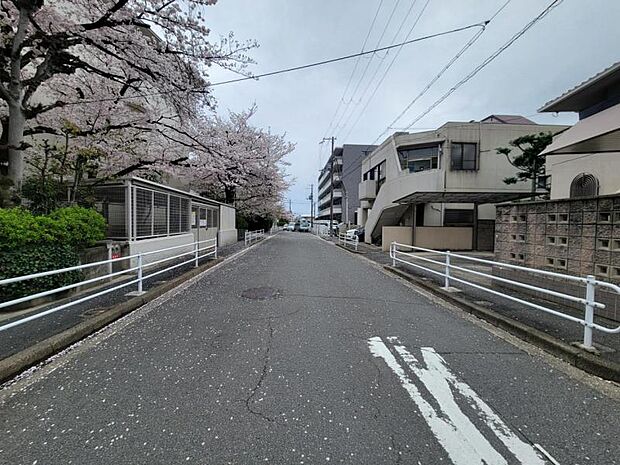 遊歩道も整備された前面道路で安全です