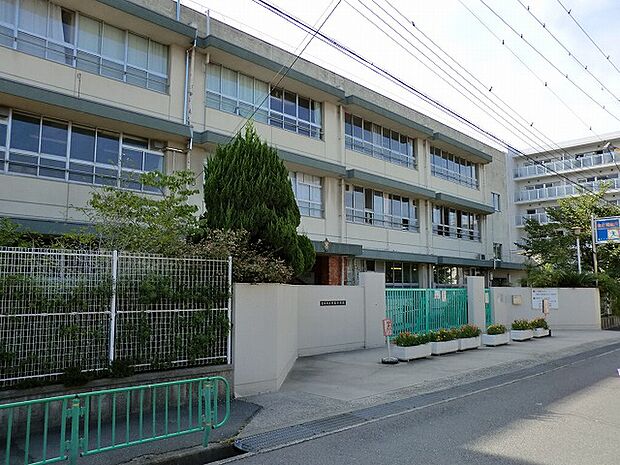 茨木市立中条小学校（235m）