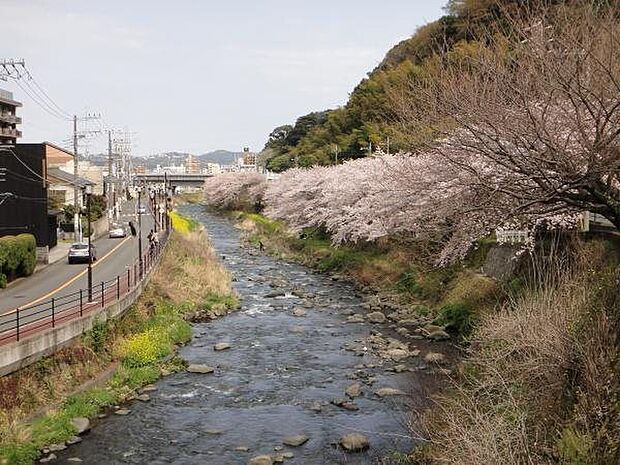 【千歳川】千歳川沿いは、お散歩コースにはぴったりです。