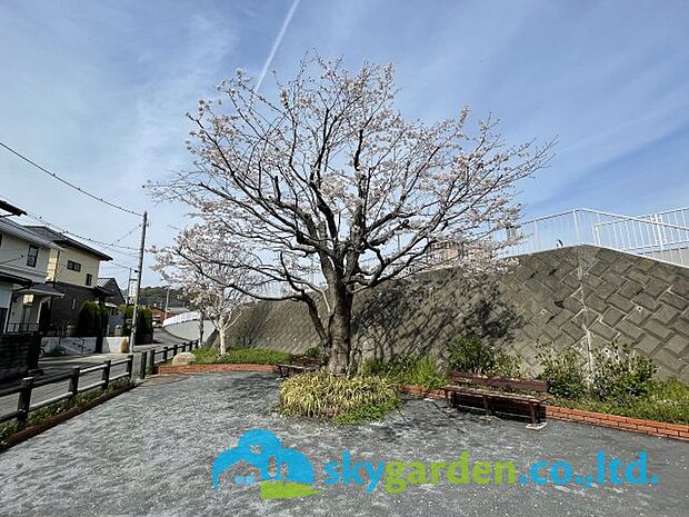 道路向いの公園の様子