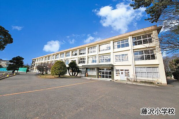 藤沢小学校まで約442m