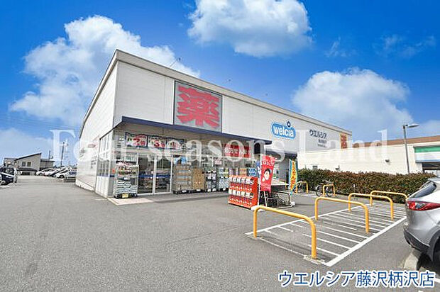 ウエルシア藤沢柄沢店まで約221m