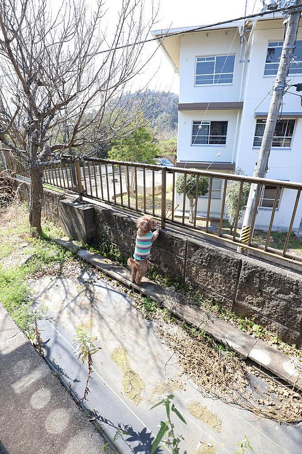 海草郡紀美野町小畑　平屋　中古戸建(4LDK)のその他画像