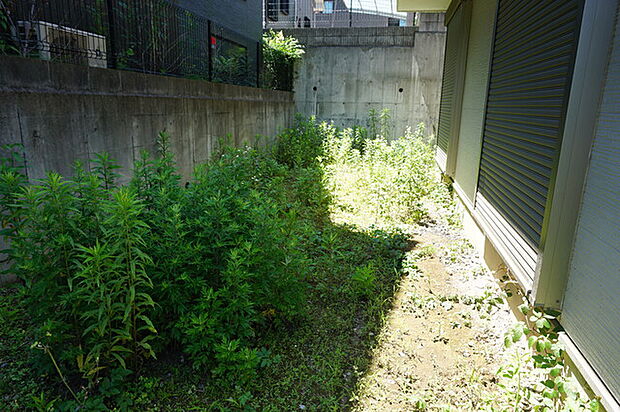 ガーデニングや家庭菜園を楽しめるお庭付きです♪