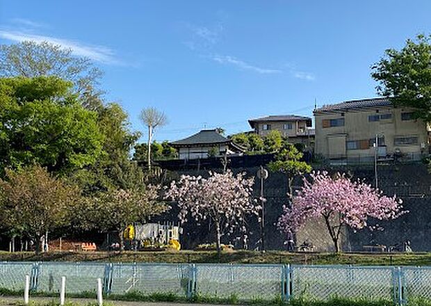 平4丁目公園まで500ｍ