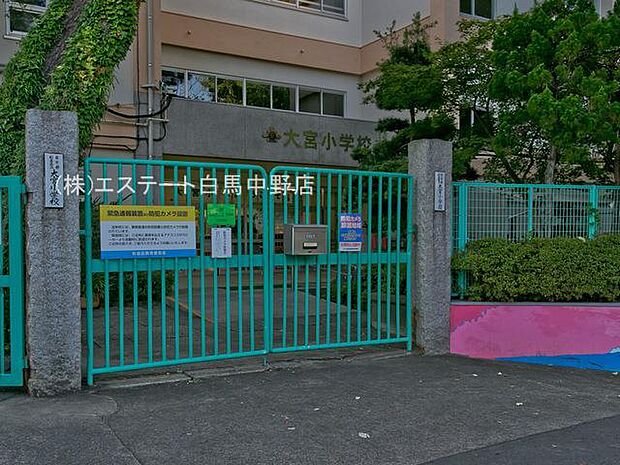 杉並区立大宮小学校（390m）