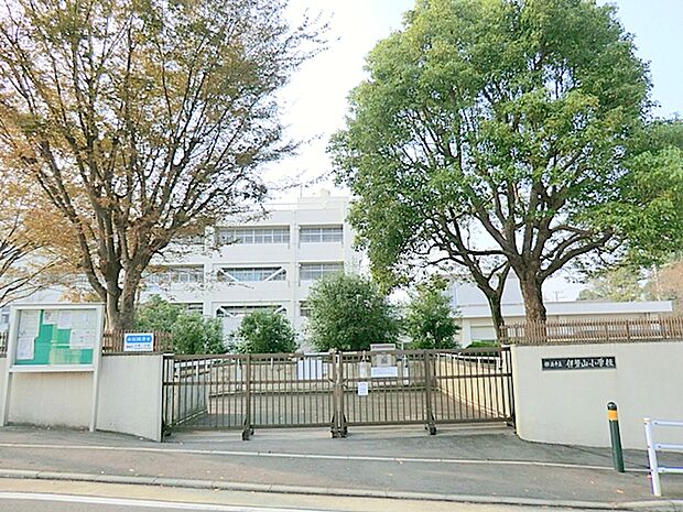 横浜市立伊勢山小学校　約800ｍ