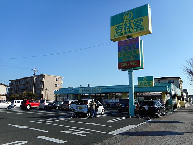 杏林堂　向宿店（520m）