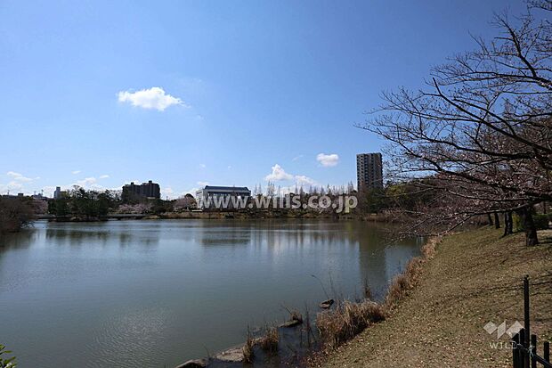 杁ヶ池公園の外観