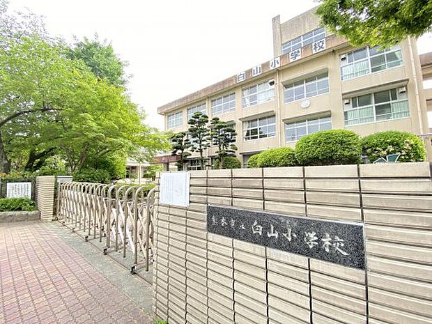 【小学校】白山小学校まで257ｍ