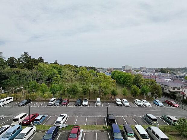 周辺は公園が複数隣接しています