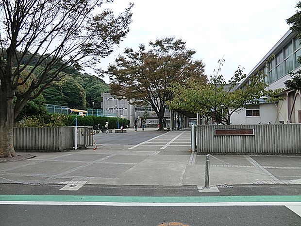 横浜市立間門小学校　980ｍ