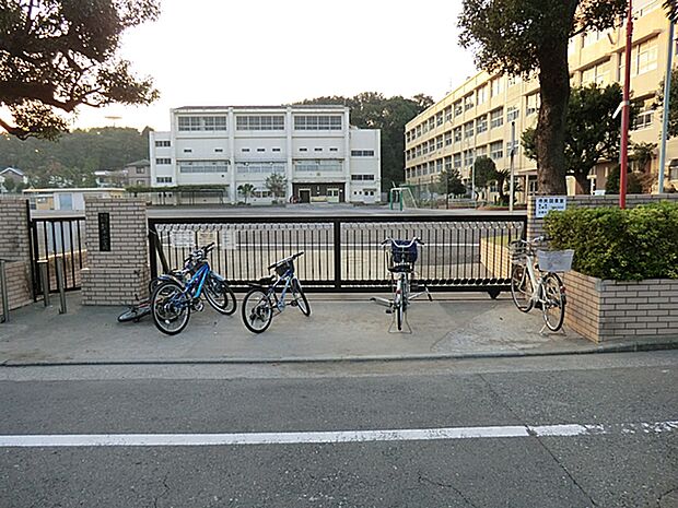 横浜市立新井小学校まで約1500ｍ